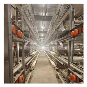 Offre Spéciale <span class=keywords><strong>poulailler</strong></span> en acier de type H ferme avicole utilisée condition pour les <span class=keywords><strong>poules</strong></span> pondeuses en batterie de couche avec système de collecte automatique - Product Image 1