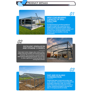 Bâtiment d'élevage moderne à construction rapide et faible coût en structure métallique pour volailles, porcs, moutons, chèvres et bovins - Product Image 6