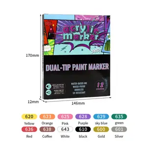 Set Premium di 12 pennarelli di vernice acrilica a doppia punta Art Set Marker impermeabile per arte Fai da te tela di vetro metallo ceramica
