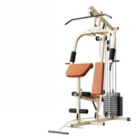 Machine à exercices multifonctionnelle à bras unique pour pectoraux et deltéens arrière, à charge libre, pour usage commercial