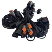 Kustom Deutsch DT 2 3 4 6 8 12Pin Kawat Listrik Otomatis Konektor Tahan Air Perempuan Kabel Harness Perakitan Laki-laki