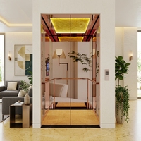 Ascenseur panoramique pour villas, ascenseur à traction en acier inoxydable, disponible en différentes couleurs et styles, capacité de 400 à 800 kg, ascenseur domestique