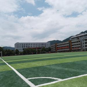 Proveedor Futsal Césped sintético Césped de fútbol artificial <span class=keywords><strong>5</strong></span> A Campo de fútbol lateral Artificial - Product Image 5