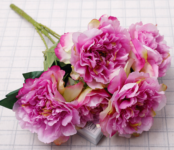 สีม่วงอ่อน