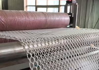 Machine de fabrication de filets géo-synthétiques rigides entièrement automatique 2D 3D HDPE PE à mailles plates