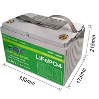 Deep Cycle Lithium Ion Battery Pack, Lifepo4, BMS, 12V, 48V