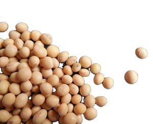 Excellent Quality, Suitable <strong>Price</strong>, Factory Direct Delivery, <strong>Concentrated</strong> <strong>Soy</strong> <strong>Protein</strong> - Product Image 4