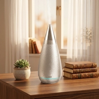 Diffuseur d'huiles essentielles sans eau, électrique, en acier inoxydable, 100 ml, rechargeable, télécommande