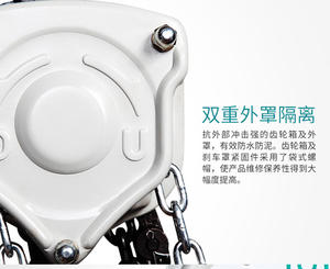 รอกโซ่โตโย <span class=keywords><strong>1</strong></span> ตัน 2 ตัน 3 ตัน 5 ตัน ราคาขายดี - Product Image 5