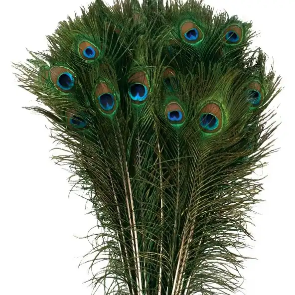 Peacock Feather Decoration, Peacock Tail Feather Craft