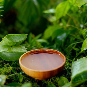 Extracto de planta de aloe vera certificado Halal, transparente, para aplicaciones versátiles en cosmética y formulaciones generales. - Product Image 1