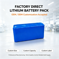 Pack de batteries OEM personnalisé 1S2P 2S1P 3S1P 4S1P 5S1P 6S1P 7S, pack de batteries Li-ion LFP au lithium pour lampe torche et appareil photo
