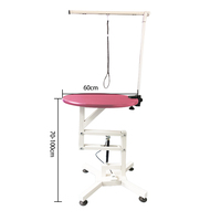 Table de toilettage électrique pour animaux de compagnie en acier inoxydable, robuste, réglable en hauteur, avec plateau antidérapant