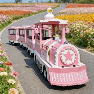 Solution complète : vente en gros de petits trains <span class=keywords><strong>pour</strong></span> enfants, jusqu'aux trains touristiques de luxe, solution unique <span class=keywords><strong>pour</strong></span> <span class=keywords><strong>les</strong></span> entreprises de divertissement - Product Image 1