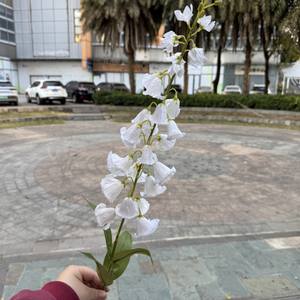 Fiori Artificiali Blu e Rossi, Campanula in Seta, Giglio delle Colline a Stelo Lungo, Campanula Artificiale Bianca e Rosa - Product Image 1