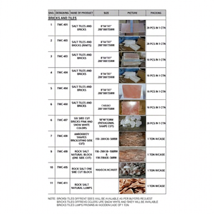 Ladrillos y Bloques de Sal del Himalaya TWC, Bloques Naturales para Decoración de Paredes de Salinas - Product Image 1
