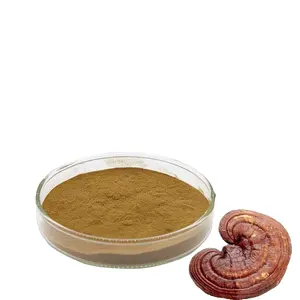 Factory Supply 100% Natural Ganoderma Lucidum Reishi Mushroom Extract Powder
