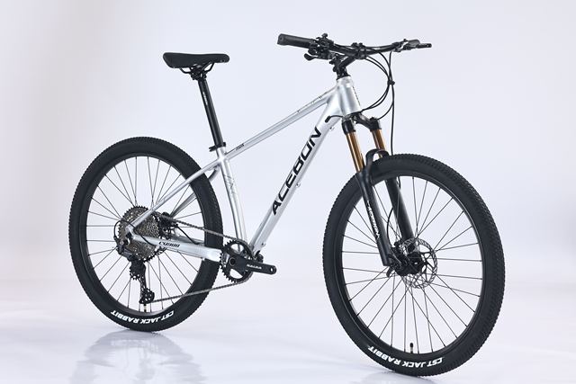 High-Performance Mountain Bike for Downhill Racing with 12-Speed Gears and Standard Pedals