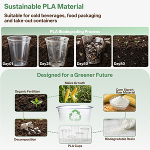 Gobelets biodégradables PLA 16/32 oz avec couvercle et paille – Solution écologique à emporter pour les marques de boissons - Product Image 4