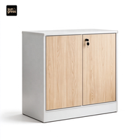Armoire de classement moderne en acier à grain de bois, 2 portes, meuble de rangement de bureau, buffet métallique avec serrure, base encastrée