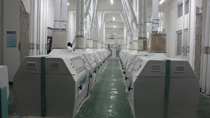 5D DIY Diamantmalerei Heim-Elefant für die Liebe Gedrucktes Tiermotiv Amerikanischer Stil Geräuscharm 1 Jahr Garantie - Product Image 6