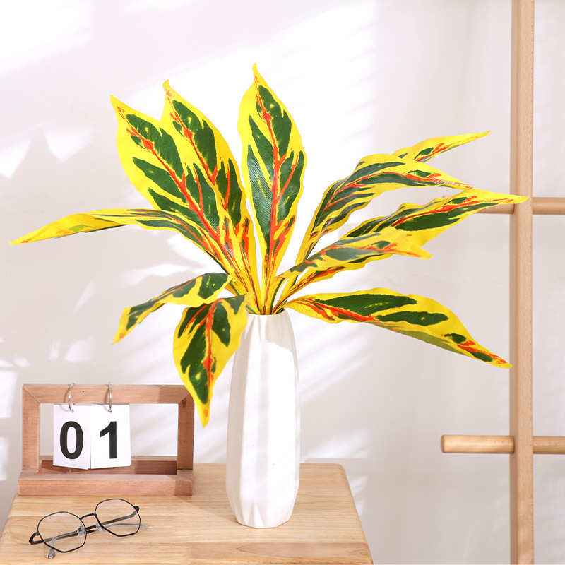 Orchidée coeur épée