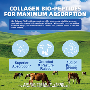 <span class=keywords><strong>Polvere</strong></span> di Peptidi Multi-Collagene OEM ODM, Integratore Sportivo, <span class=keywords><strong>Proteine</strong></span> di Collagene Idrolizzato per Sbiancamento della Pelle e Crescita dei Capelli - Product Image 5