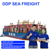Tim Distribusi Agen Pengiriman DDP Cina ke Australia Pengangkutan Multi Pasar Pengangkutan Laut Barang Curah DDP DDU FBA 3PL LCL