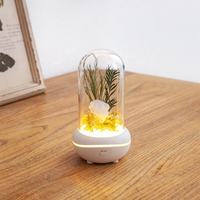 Veilleuse LED Humidificateur d'aromathérapie Fleur éternelle Saint Valentin Cadeau de Noël Diffuseur d'arômes