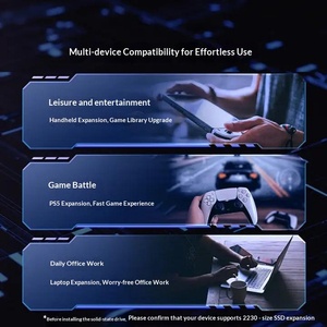 P310 <b>M</b>.<b>2</b> 2230 <b>SSD</b> 1TB 2TB High Speed Solid State Drive For Handheld Game Console And Laptop - Product Image 4
