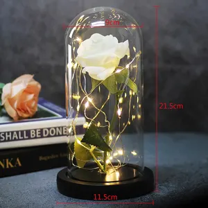 Rosa LED de la Bella y La Bestia, Galaxia encantada, rosa, flor eterna, luces en cúpula para Navidad, regalo de San Valentín para madre