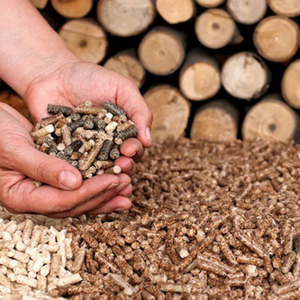 เม็ดไม้ยางพาราพรีเมี่ยมจากประเทศไทยสำหรับพลังงานหมุนเวียนที่เชื่อถือได้ - Product Image 2