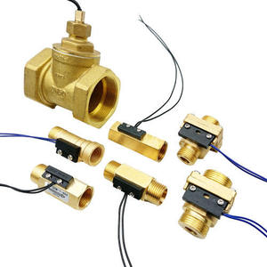ขายส่งน้ำแม่เหล็กเครื่องทำน้ำอุ่นอัตโนมัติ Flow Switch FS-3S สำหรับปั๊มน้ำ - Product Image 1