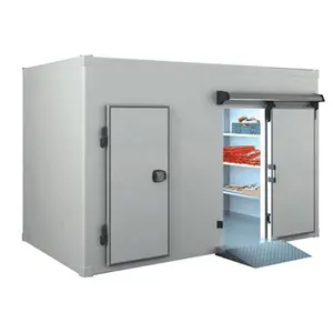 Mini Chambre glacière pour réfrigérateur, 2000 l, usine chinoise, réfrigérateur, congélateur givré, stockage froid Portable pour les véhicules à vendre