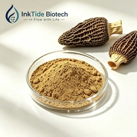 Extrait de Morchella Esculenta en poudre de qualité alimentaire, marque privée, emballage en fût/bouteille