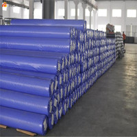 Poly bâche de bâche de PE de haute qualité avec bâche renforcée de feuille de tissu en plastique UV pour l'agriculture/couverture industrielle
