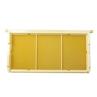Neue Langstroth Bienenstock-Wabenrahmen-Aufbewahrungsbox – Naturholz HT-01 Modell 14kg – Marke XINGBO