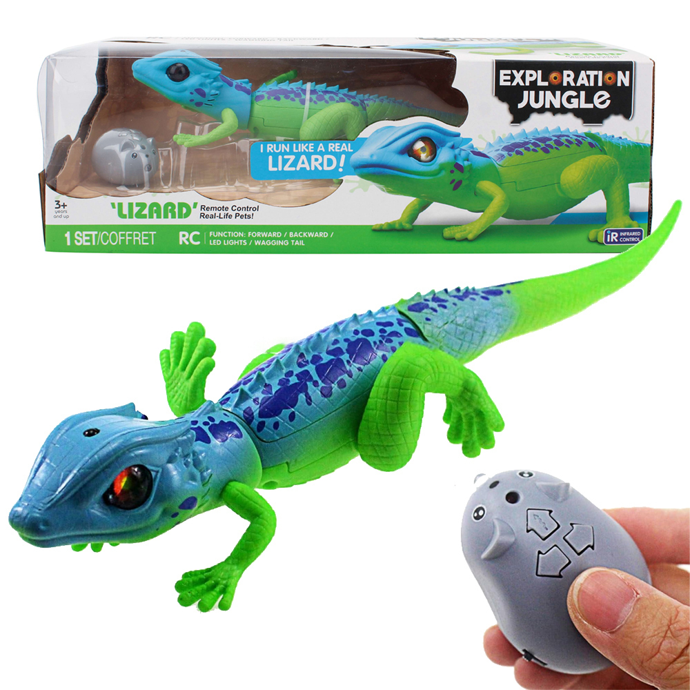 Lot de 2 Jouets en Caoutchouc lézard, Figurines d'action, Cadeaux éducatifs pour la Faune, Collection de Jouets, Accessoires éducatifs scientifiques (Vert