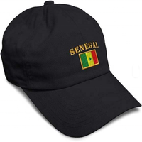 Drapeau publicitaire du Sénégal, Drapeau de rétroviseur de voiture, Drapeau en guirlande, Porte-clés, Lunettes, Écharpe, Chapeau, Bracelet, T-shirts, Sac, Collier