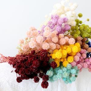 Fleurs séchées naturelles à 100 %, fleurs séchées conservées, fruits de moulin à vent, gousses de scabieuse uniques pour la décoration de vase - Product Image 4