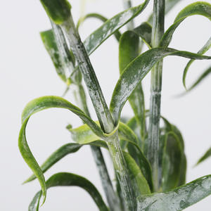 Mini fleurs artificielles de Dianthus, fausses tiges de <span class=keywords><strong>Sweet</strong></span> <span class=keywords><strong>William</strong></span>, décoration de mariage, accent de table pour la maison, arrangement floral d'intérieur - Product Image 4