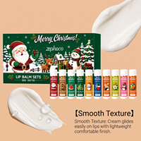 Coffret de baumes à lèvres de Noël, 10 pièces, saveur fruitée, hydratant, coffret cadeau de Noël pour lèvres sèches, cadeau de fête, soin des lèvres