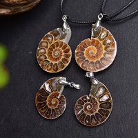 Ammonite naturelle tranche pierre pendentif à breloques colliers pour femmes hommes Style Vintage Unique mode plage bijoux cadeaux d'anniversaire