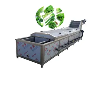 Yüksek verimli fmushroom yıkama yeşil bezelye meyve haşlama makinesi/yeşil bezelye meyve blancher/sebze haşlama makinesi