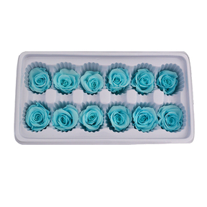 Mucho tiempo rosas de 3-4 cm Natural <span class=keywords><strong>y</strong></span> rosas para el Día de San Valentín - Product Image 4