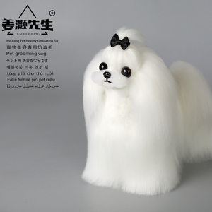 Mr. Jiang Model Hond Pruik <span class=keywords><strong>Shih</strong></span> <span class=keywords><strong>Tzu</strong></span> Full Body Fur Yorkshire Haarmodel Hond Voor Het Verzorgen Van Huisdieren Maltese Lichaam Pruik (Geen Mannequin) - Product Image 3