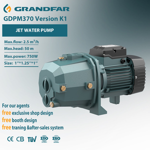 Pompe à eau haute pression Grandfar 1''x1.25''x1'' 1HP avec câblage en aluminium et turbine en laiton pour l'irrigation agricole et les eaux usées Jet GDPm370 1''1.25 - Product Image 1