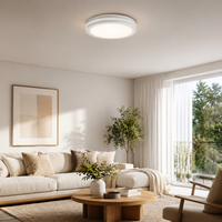 Plafonnier Rond Moderne Premium à Design Plat et Discret, Multifonctionnel pour Appartement, Villa, Eclairage Décoratif d'Espaces Intérieurs