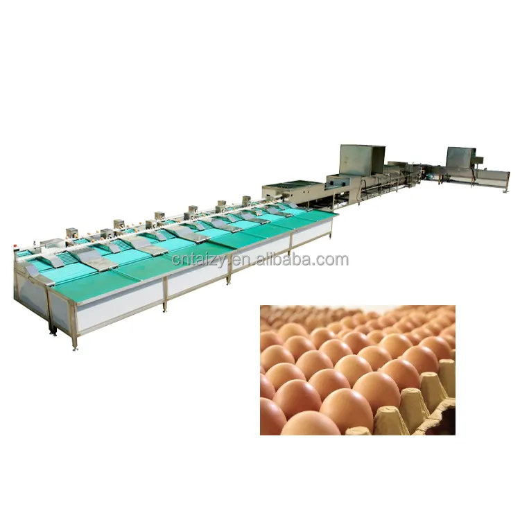 High Quality Egg Grading Machine Egg Scale Grader Chicken Egg Washing And Sorting Machine