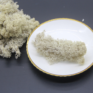 <span class=keywords><strong>Verde</strong></span> scuro stabilizzato conserve di moss per società di progettazione di decorazione della parete - Product Image 4